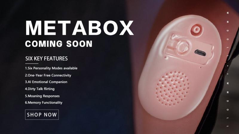 WM-DOLL METABOX AI, ARTIFICIAL INTELLIGENCE (AI) FOR YOUR WM-DOLL LOVE DOLL