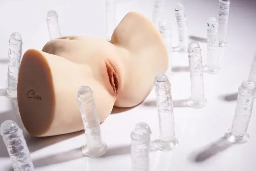 HFTER TORSO R5 - Image 2