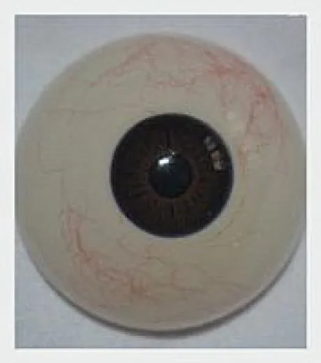 MWM-COLL FUSHIGI 157 cm #36 - Image 13