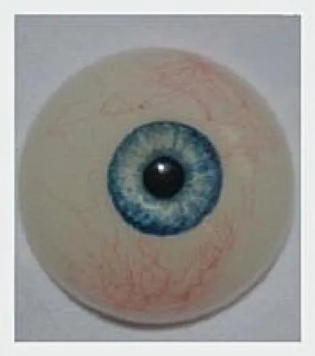 MWM-COLL FUSHIGI 157 cm #36 - Image 14