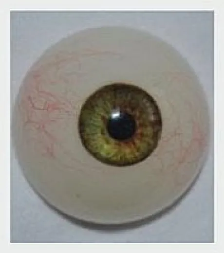 MWM-COLL FUSHIGI 157 cm #36 - Image 15