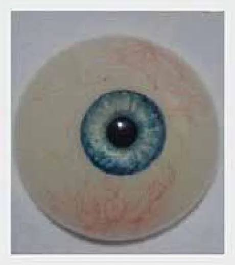 MWM-DOLL 158 cm TPE-MODELL - Kalisy B - Image 14