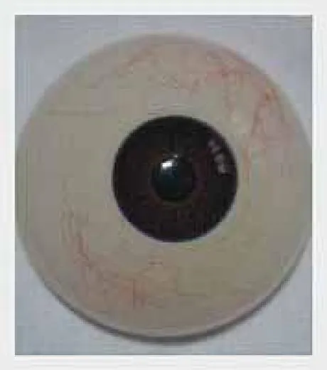 MWM-MUECA 165 CHO - Image 13