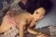Bambola del sesso Debby 152 cm - Image 4