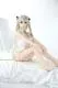 Branda 148cm love doll - Image 4