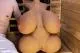 CLIMAX TORSO MAJA BW82 - Bild 10
