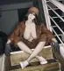 MWM-DOLL Stacy I TPE 170 cm Modelo (#122) H-CUP - Image 23