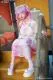 XT-DOLL Yomi - Image 11