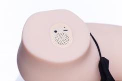 AIBEI TORSO SEXTOY