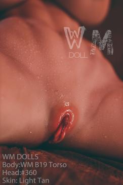 WM DOLL SHAKIRA TORSO