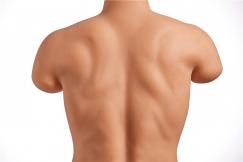 Male Doll Torso Kelvin