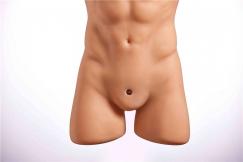 Male Doll Torso Charles