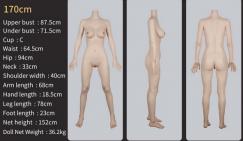 Aurora 170cm C-Cup