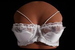 Climax Masturbator Pro B-59