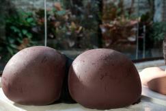 CLIMAX Masturbator R3 Zwart - Image 2