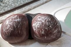 CLIMAX Masturbator R3 Zwart - Image 6