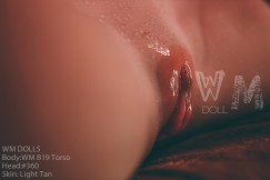 WM DOLL SHAKIRA TORSO - Image 13
